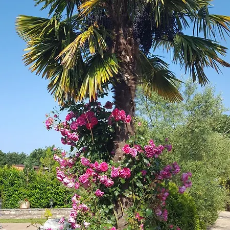 Lucija With Pool And Tennis Court Near Vila
